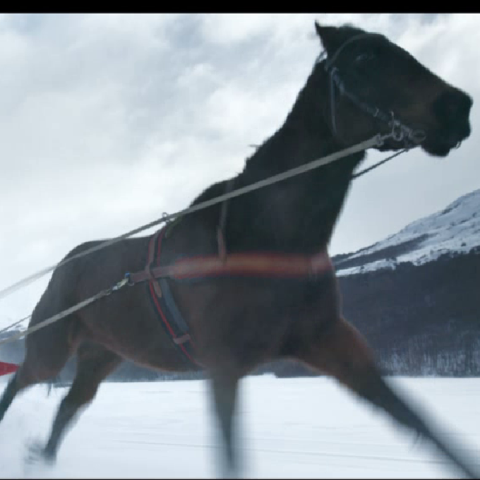 Canon “Skijoring"